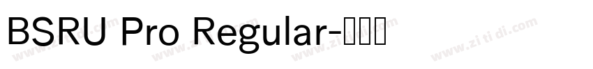 BSRU Pro Regular字体转换 BSRU Pro Regular字体转换